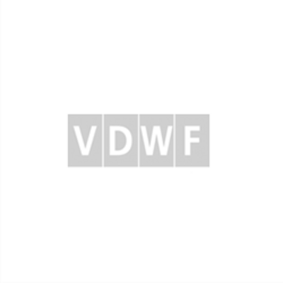 VDWF-Richtlinie Werkzeugspezifikation – Sonder-11-Uhr-Loch (mit Dirk Falke)